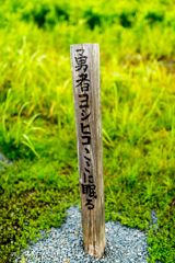 ヨシヒコの墓