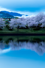 いつもの風景