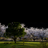 夕方の公園