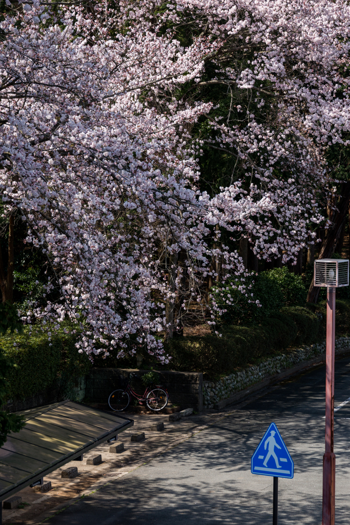 公園の入り口