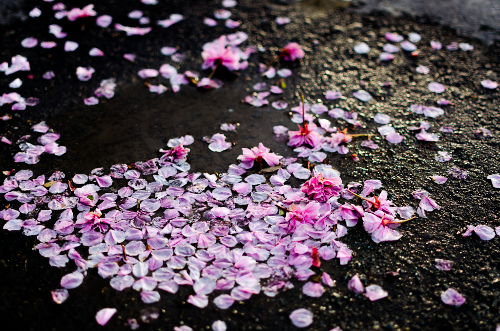 散華集水