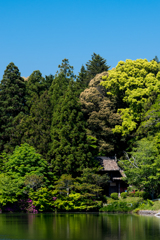 天照山（法泉寺）の山門