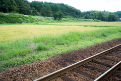 線路脇の実り