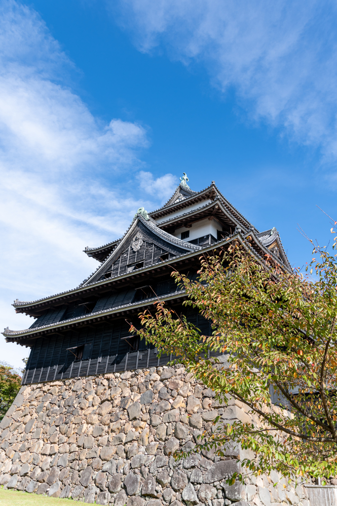 下から見上げる