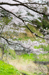 山里で