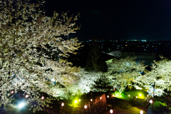 田丸城から