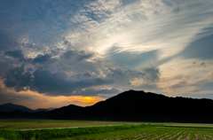 田んぼと夕方の空