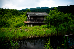 池のある風景