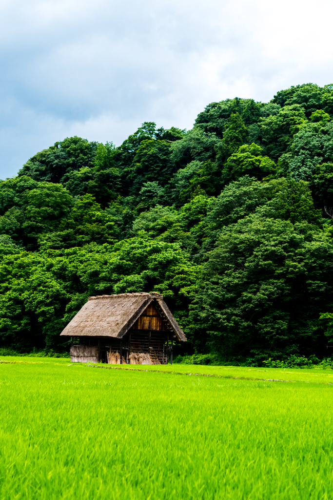 田園と倉庫