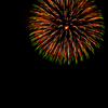 夜咲華
