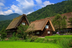 合掌造り