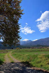 山へつづく道