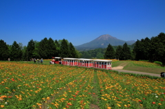 大山を仰ぐ