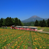 大山を仰ぐ