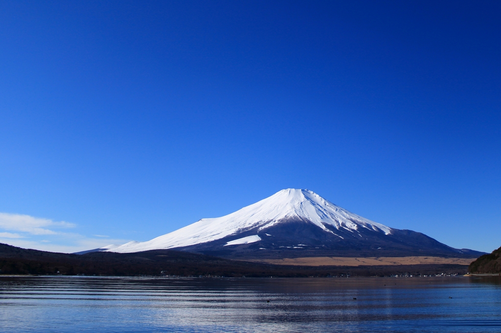 山中湖からの富士