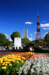 札幌　大通公園