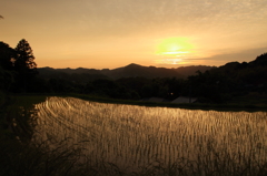 夕暮れの棚田