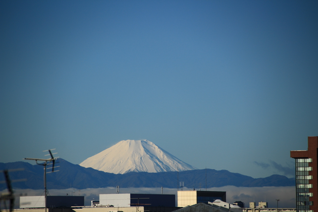 口径食…ですか？