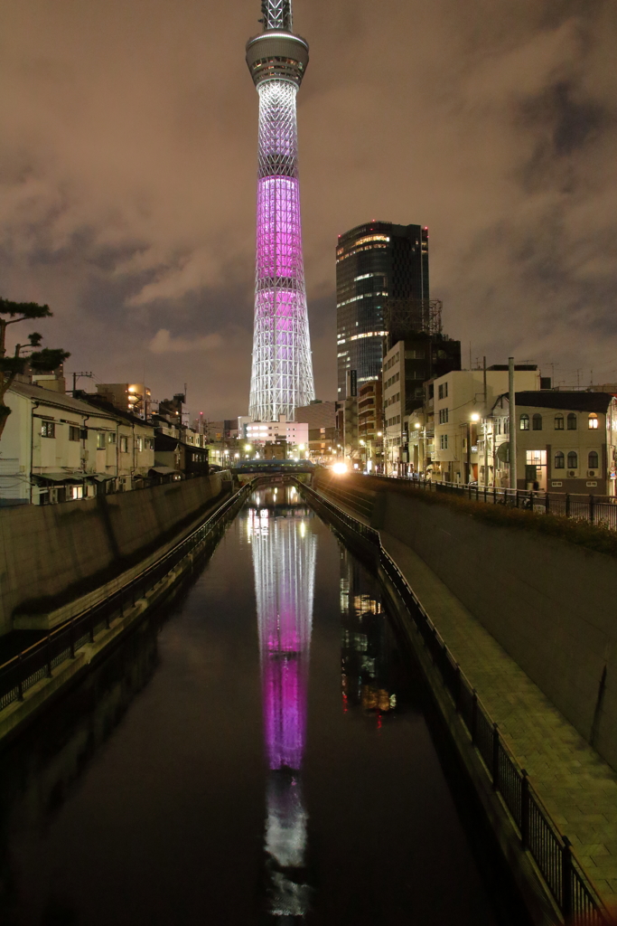 桜色タワー