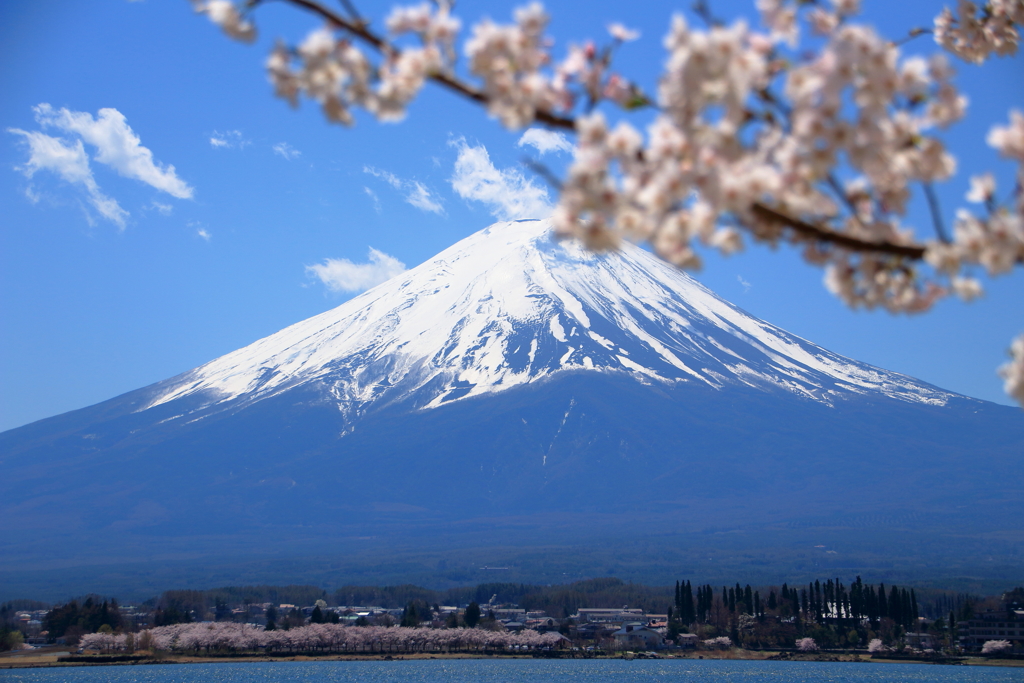 富士山