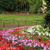 日比谷公園の花壇