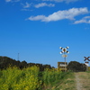 踏切と空と菜の花と