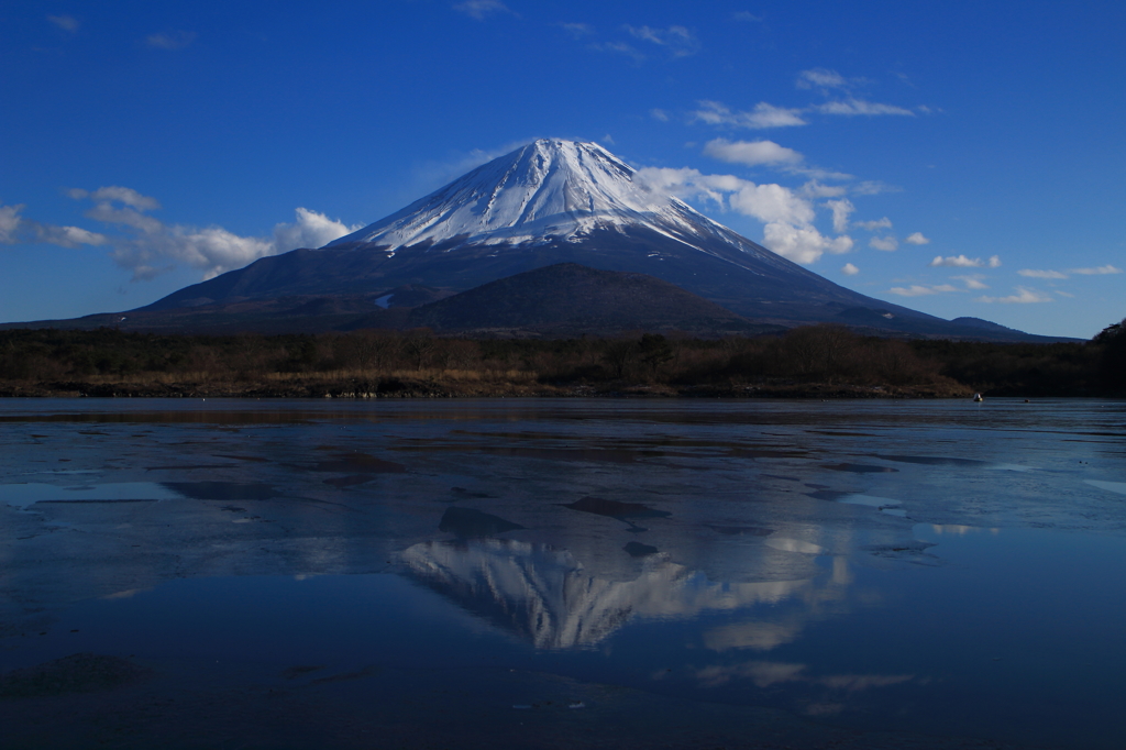 凍る精進湖に映る富士山頂