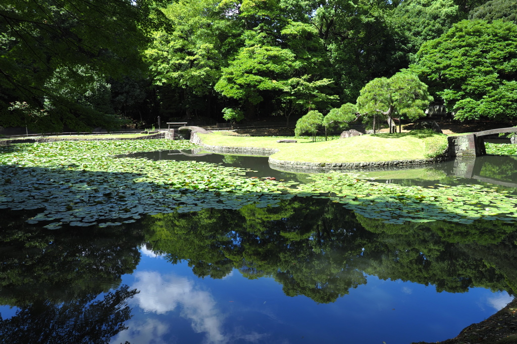 東京の青い池