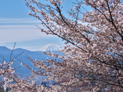 アタマを山の上に出し