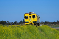 ムーミン列車