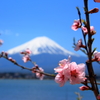 ぼ～んやり
