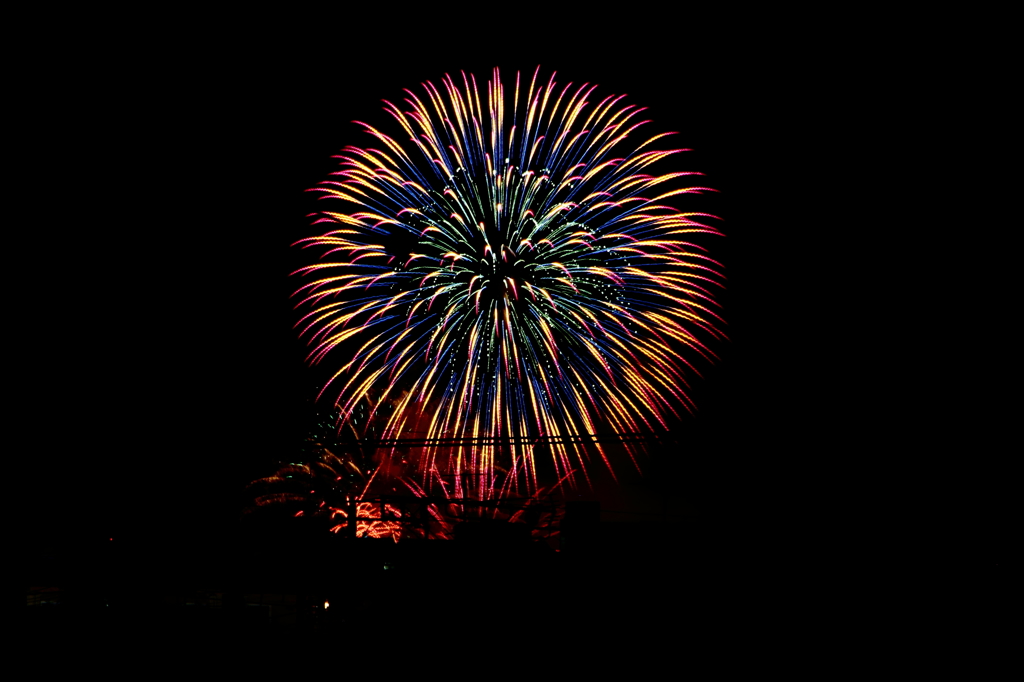 たまがわ花火大会