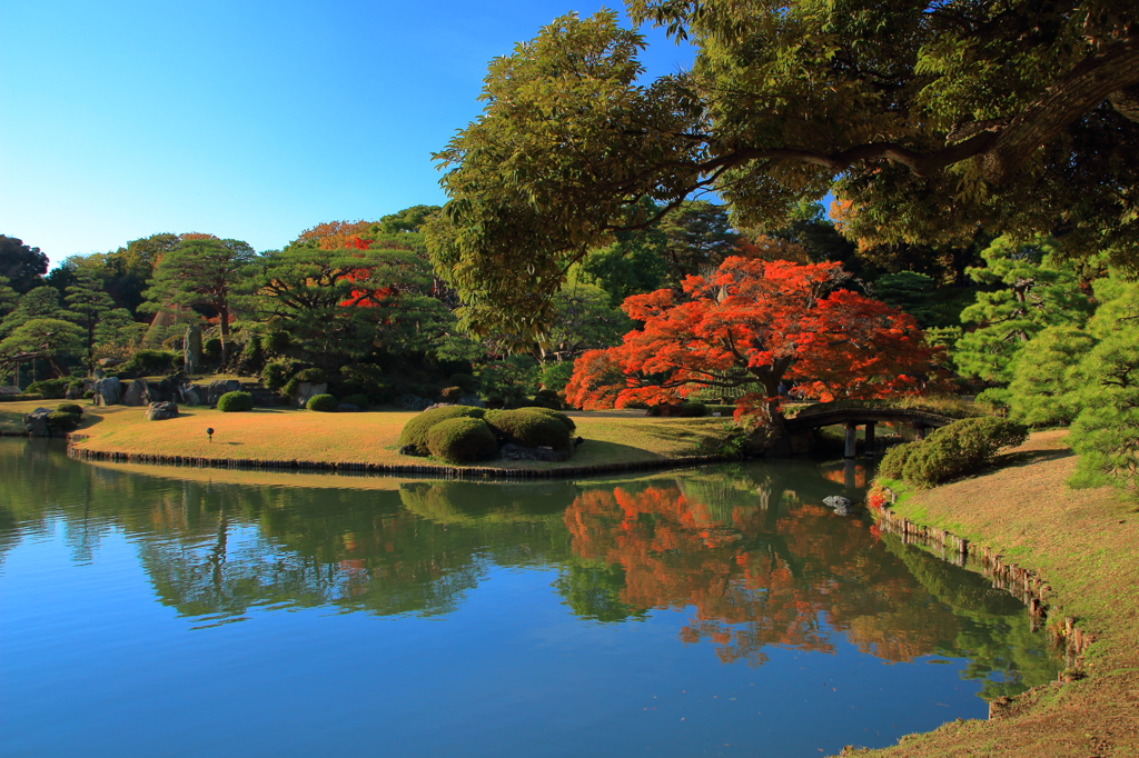 紅を愛でる