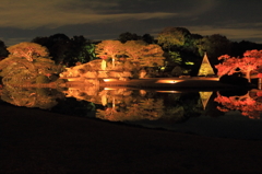 六義園の水鏡