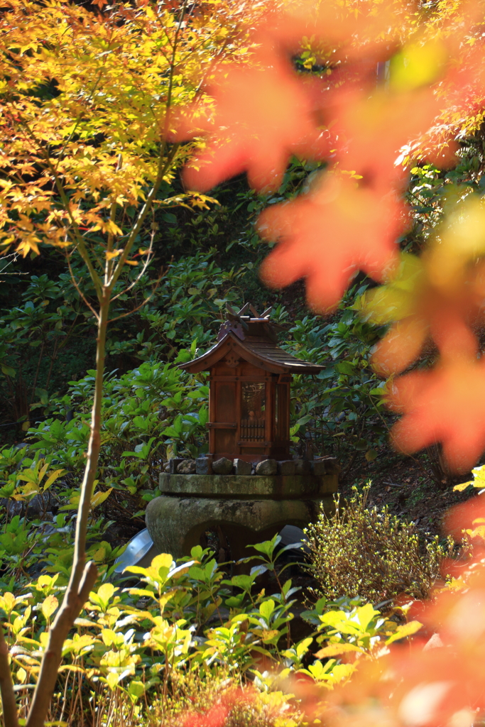 紅い星のむこう