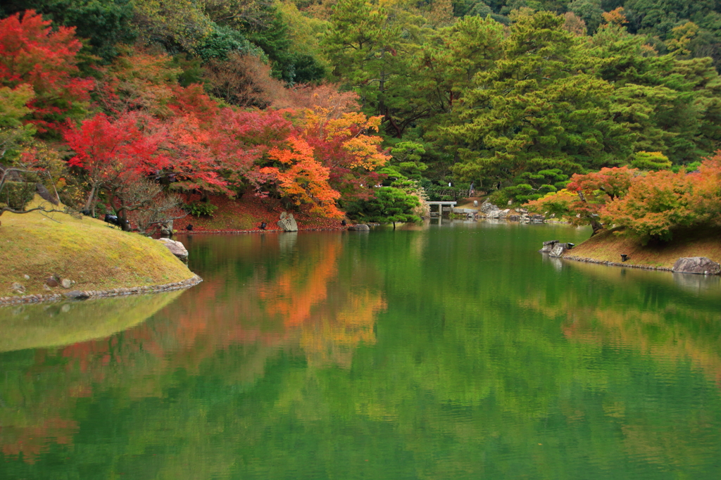 水辺の紅葉