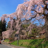 赤い車でお花見