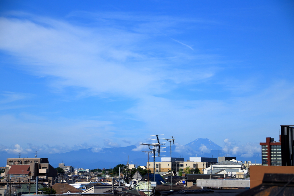 梅雨の晴れ間