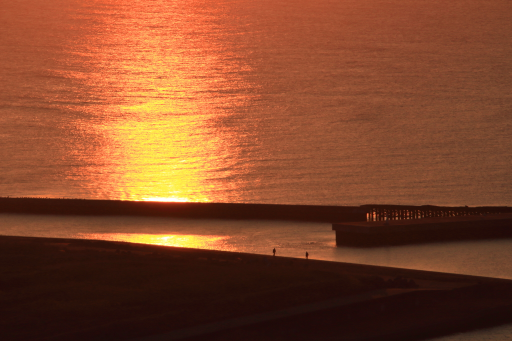 夕日を浴びて