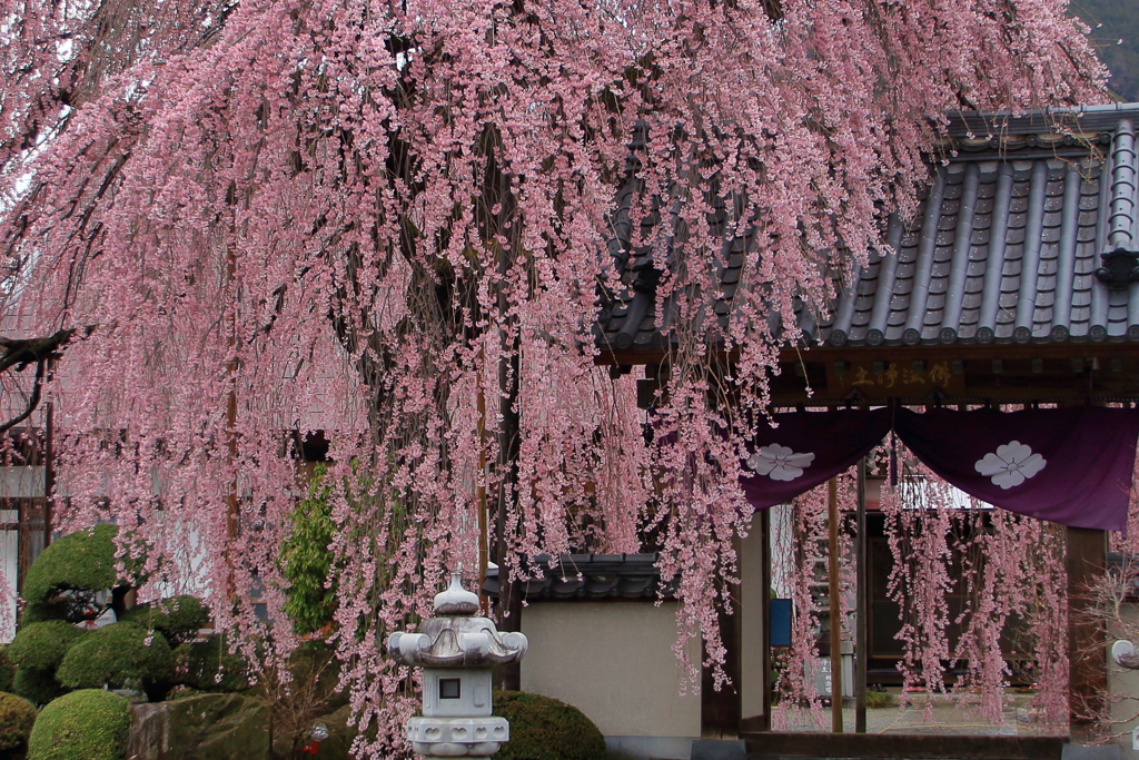 周林禅寺