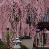 周林禅寺
