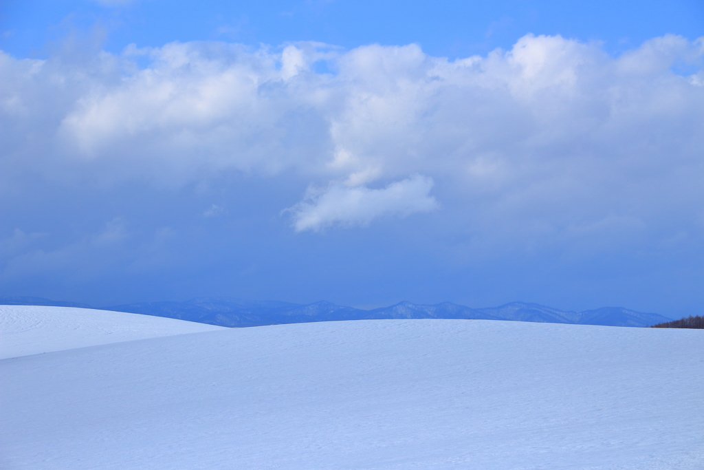 雪原の向こう側