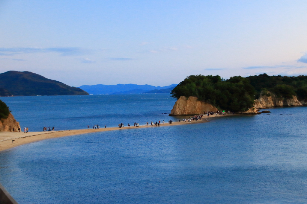 天使の散歩道