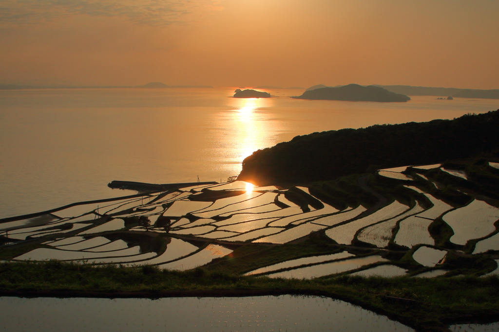 光をあびる あひる島