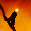 LED