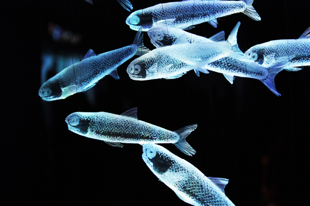 魚のオブジェ②