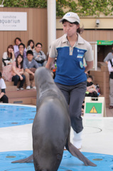 オタリアとおねえさん