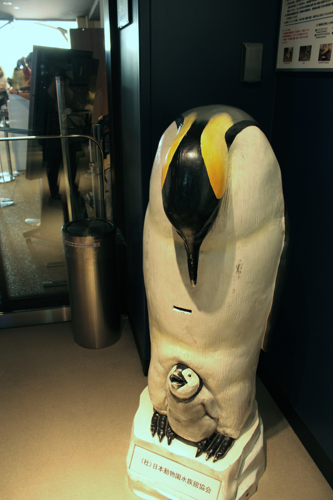 コウテイペンギンの募金箱