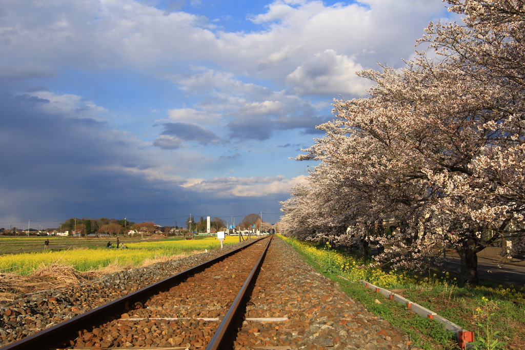 真岡鐵道