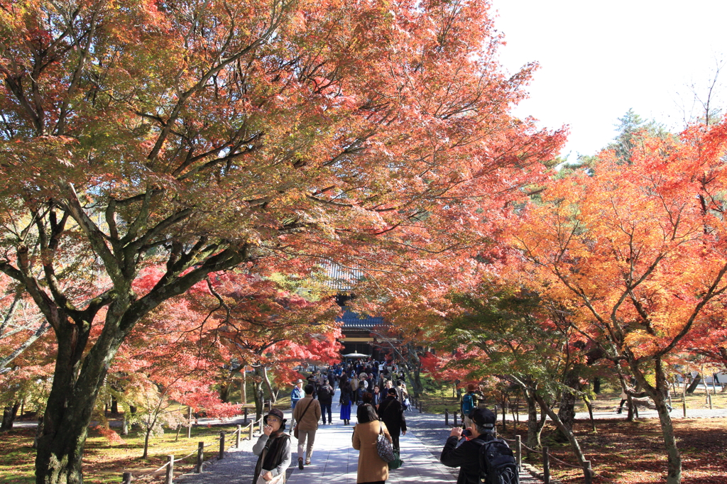 南禅寺 法堂1
